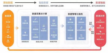 白小相资料正版资料|专家解答解释落实_安卓款.6.741